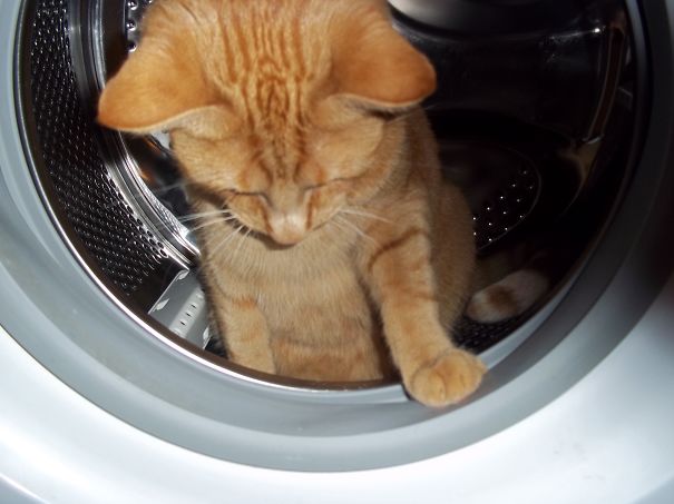 What? I Just Wanted To Take A Shower.