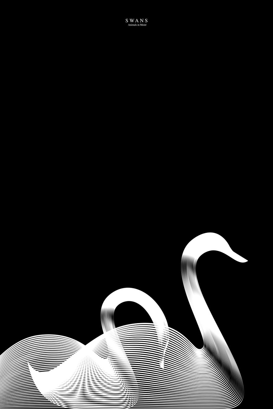 Less Is More: I Create Illustrations By Repeating Two Identical Lines Less Is More: I Create Illustrations By Repeating Two Identical Lines