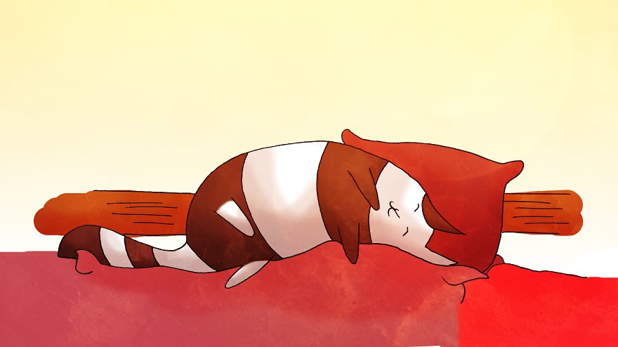 I Followed My Cat Around For An Entire Day