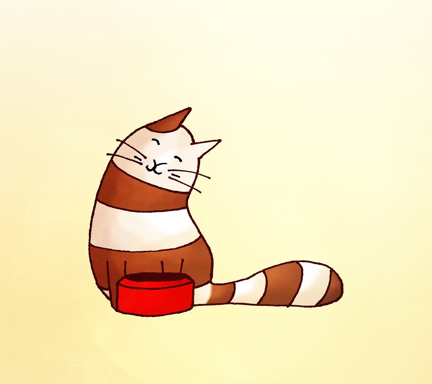 I Followed My Cat Around For An Entire Day I Followed My Cat Around For An Entire Day