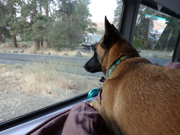 Morning On The Yakima River
