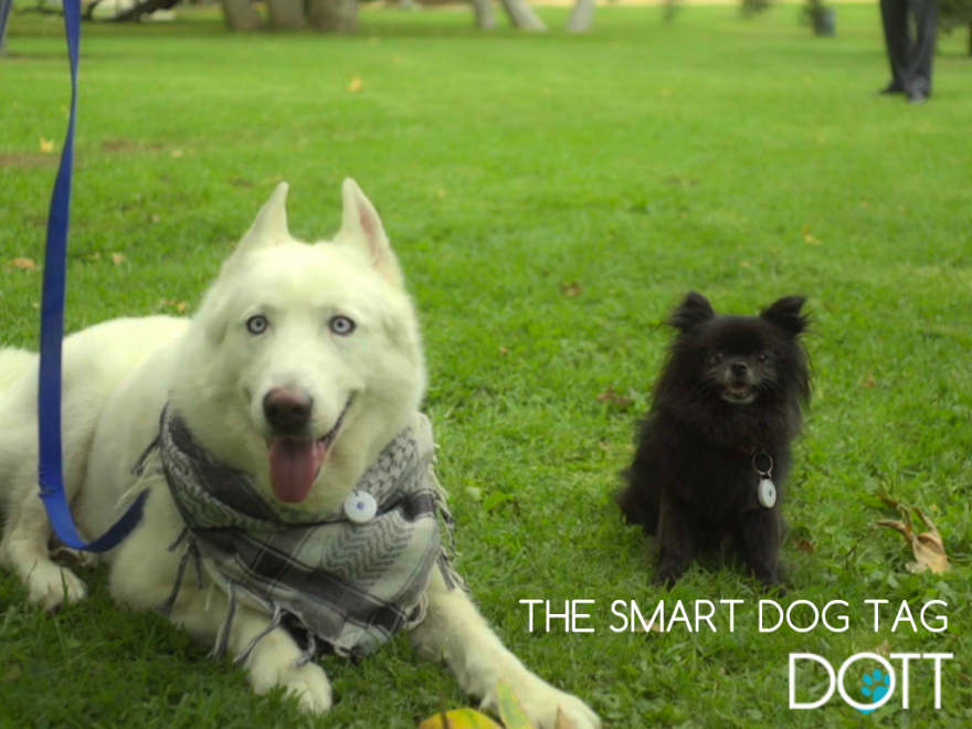 Dott: The Smart Dog Tag For Pets Now On Kickstarter
