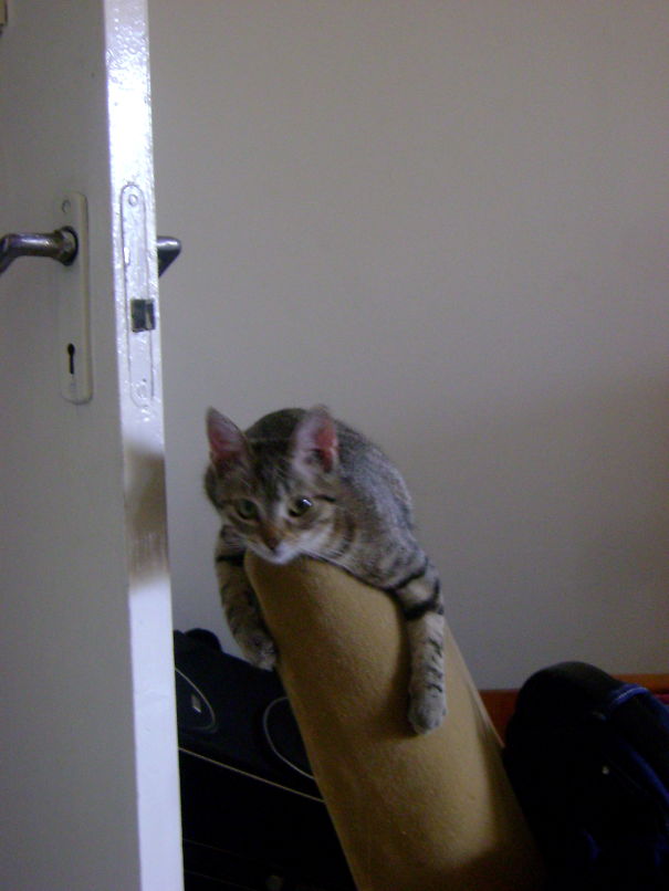 Oh God I Miss Her So Much