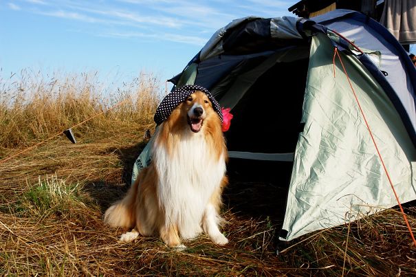 My First Caming. In Style. Valdai, Russia 2010