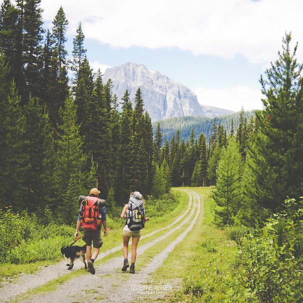 Backcountry Hike With Spike