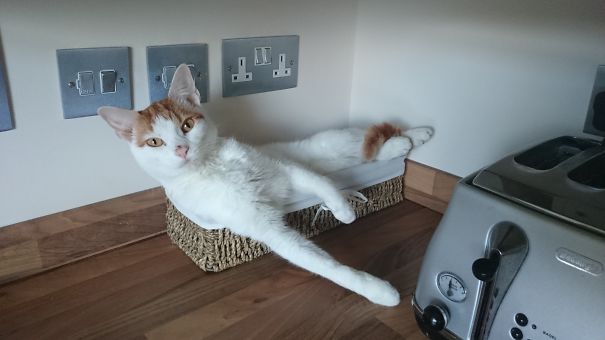 I Can Sort Of Fit...