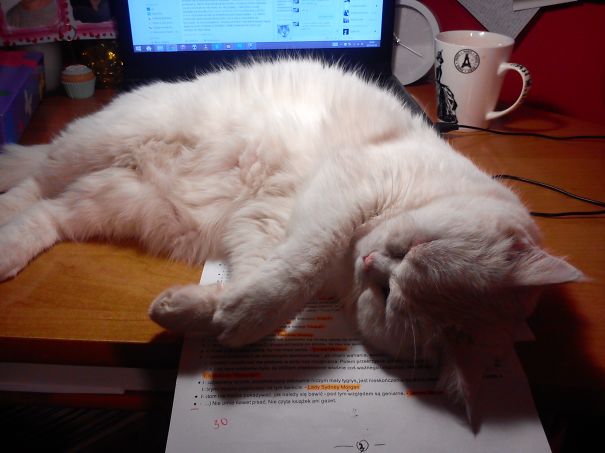 So You're Working? Why The F*ck U Lyin Why U Always Lyin