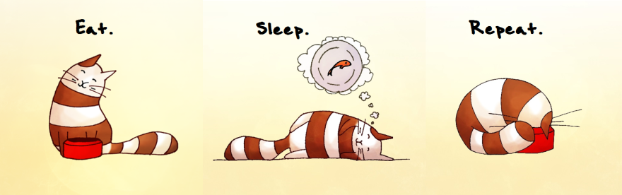 I Followed My Cat Around For An Entire Day