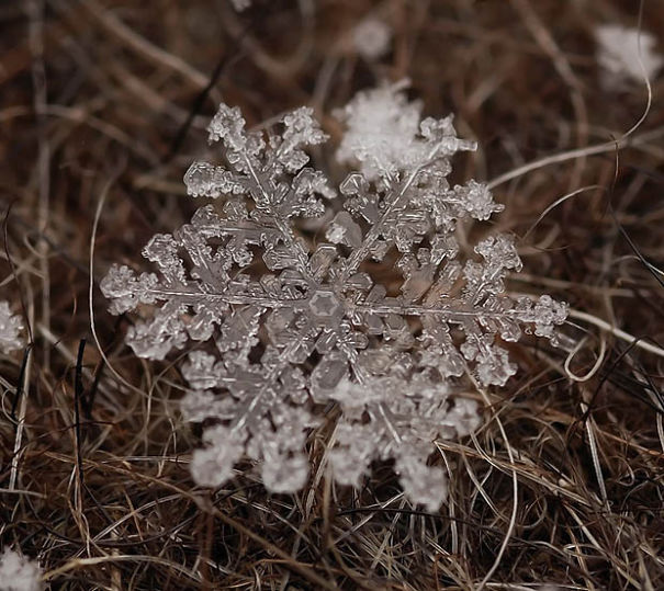 Ethereal Macro Photos Of Snowflakes In The Moments Before They Disappear