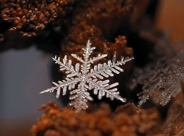 Ethereal Macro Photos Of Snowflakes In The Moments Before They Disappear