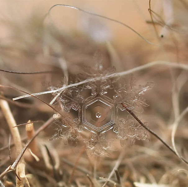 Ethereal Macro Photos Of Snowflakes In The Moments Before They Disappear