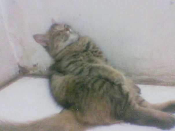 The Most Comfortable Sleep Style