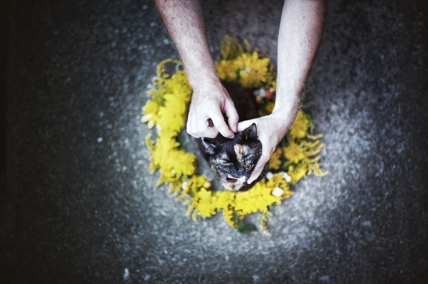 A Summer With A Cat: Why You Shouldn't Leave Your Cat At Home During Vacation A Summer With A Cat: Why You Shouldn't Leave Your Cat At Home During Vacation