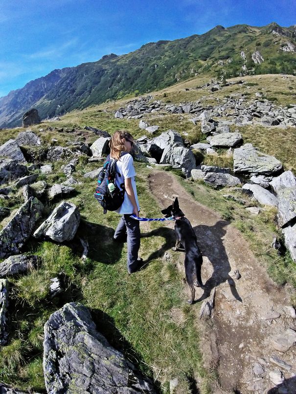 Hiking With Dog