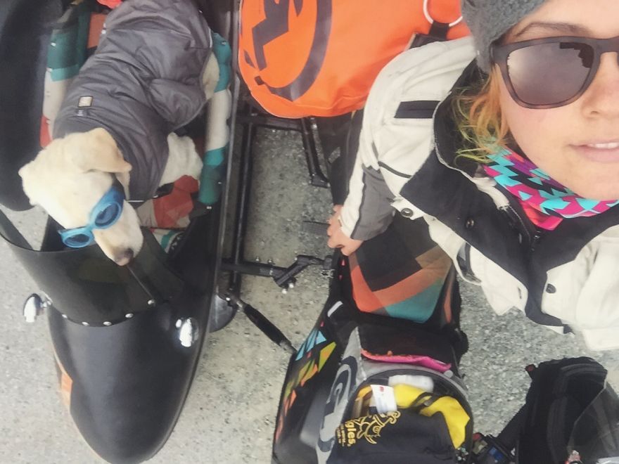I Motorbiked 6,000 Miles To Alaska With My Dog And We're Still Going