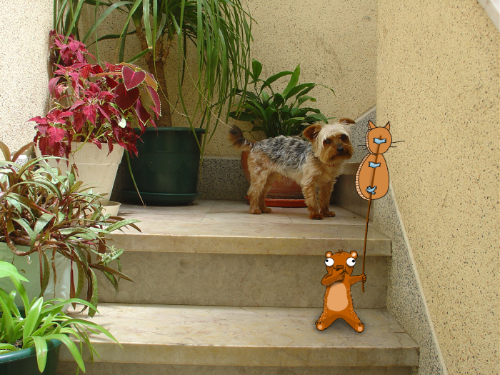 I Add Doodles To People's Instagram Photos (Part 2) I Add Doodles To People's Instagram Photos (Part 2)