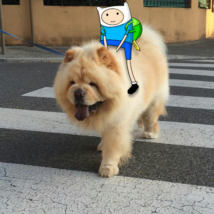 I Add Doodles To People's Instagram Photos (Part 2) I Add Doodles To People's Instagram Photos (Part 2)