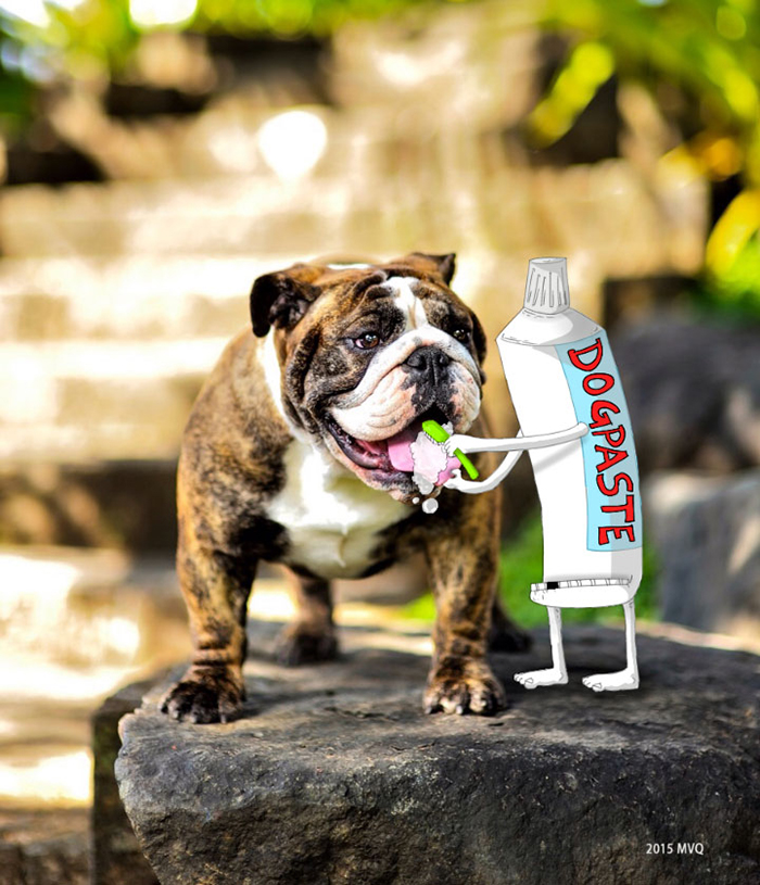 I Add Doodles To People's Instagram Photos (Part 2) I Add Doodles To People's Instagram Photos (Part 2)