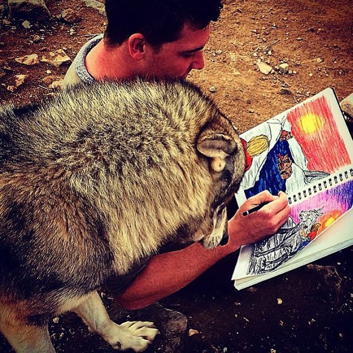 I Discovered My Inner Wolf At Wolf Mountain, California