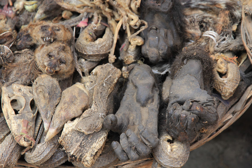 I Visited The Voodoo Market In Benin.