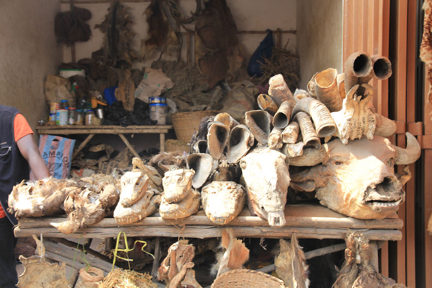I Visited The Voodoo Market In Benin.