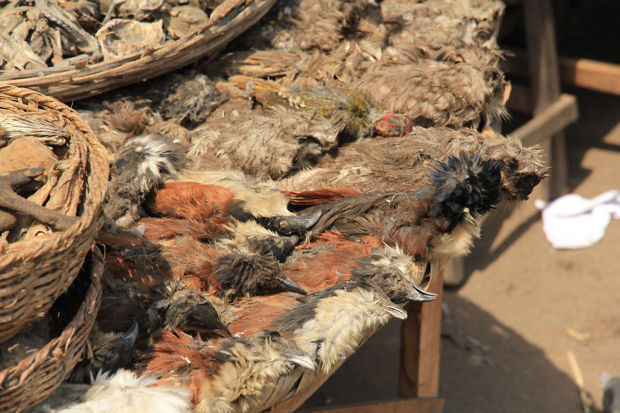 I Visited The Voodoo Market In Benin.