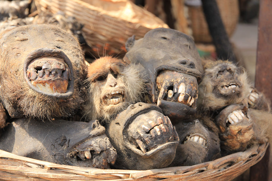 I Visited The Voodoo Market In Benin. I Visited The Voodoo Market In Benin.