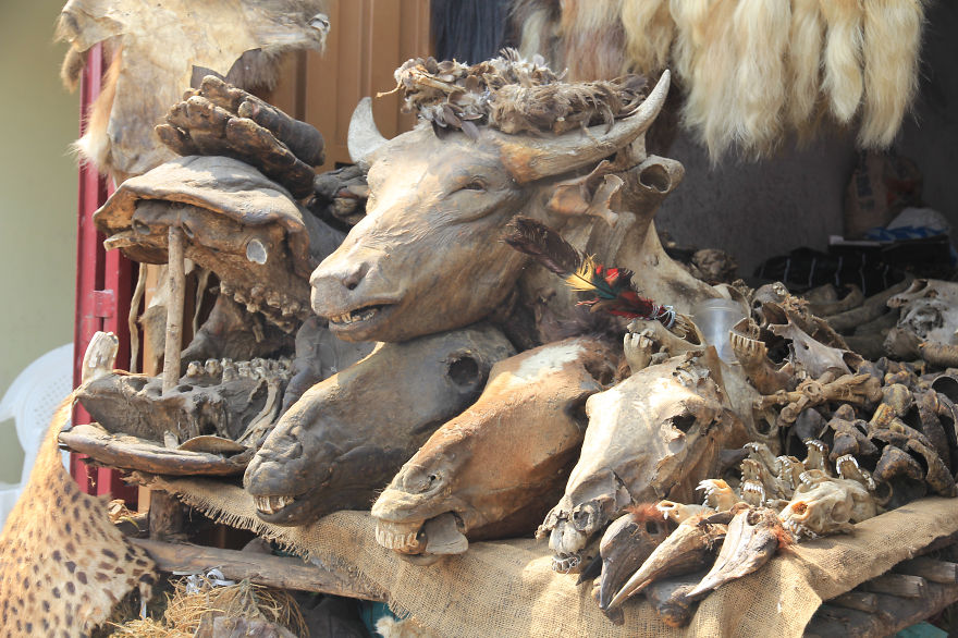 I Visited The Voodoo Market In Benin.