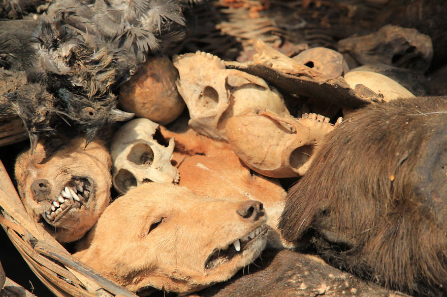 I Visited The Voodoo Market In Benin.
