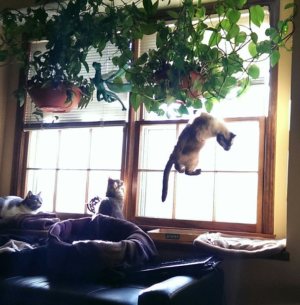 I Can See The Birdies Much Better From Here...