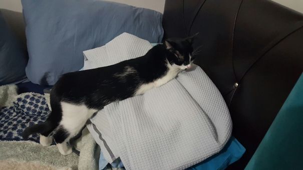 I Found The Best Way Of Sleeping