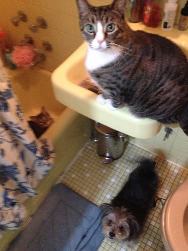 Sorry, Did You Need To Get In Here?