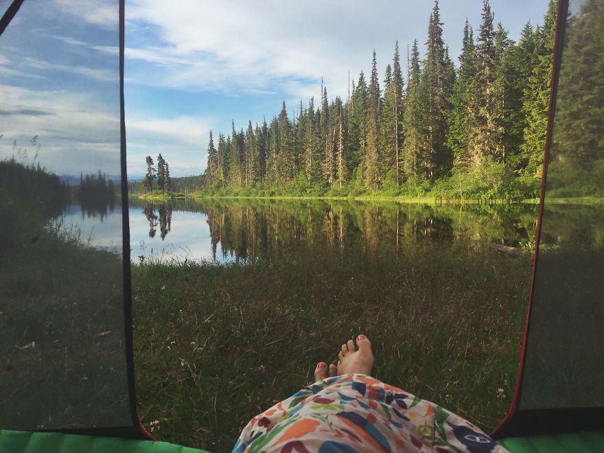 I Motorbiked 6,000 Miles To Alaska With My Dog And We're Still Going I Motorbiked 6,000 Miles To Alaska With My Dog And We're Still Going