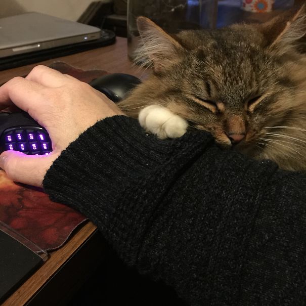 Gizmo, Making It Very Difficult To Heal That Heroic!