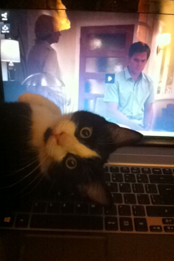 Dexter Inception