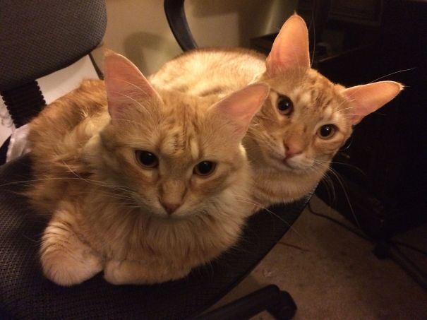 So? You're Not Using It.