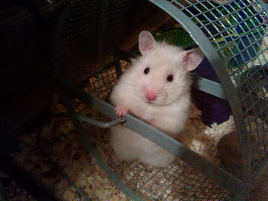 Is The Generator Hooked Up Yet? :d My Name Is Chechibo