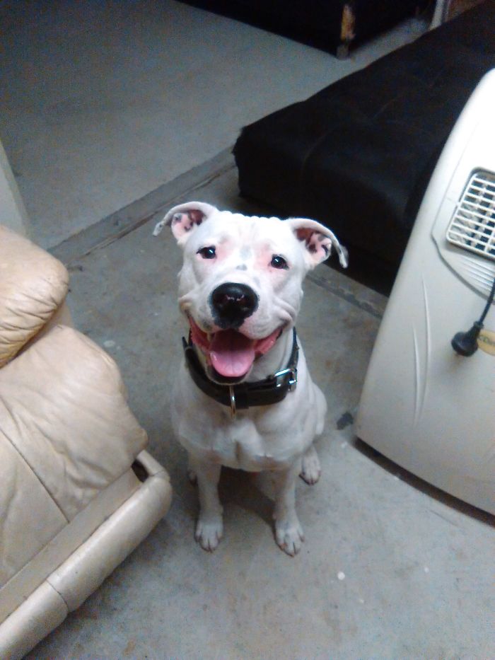 Am I Glad To See You?