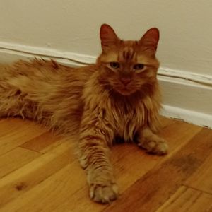 consuelo.perez07 avatar