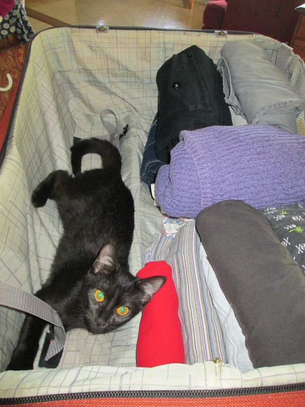 Allow Me To Help You Pack.