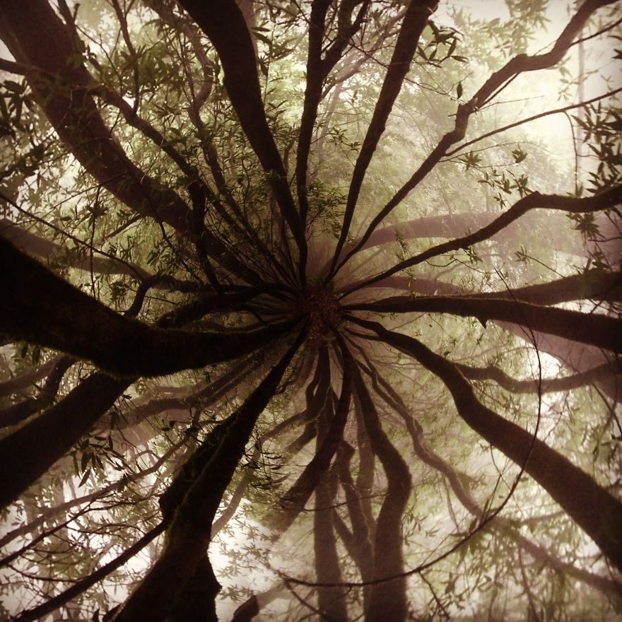 I Make Art With My iPhone And My Two Kids