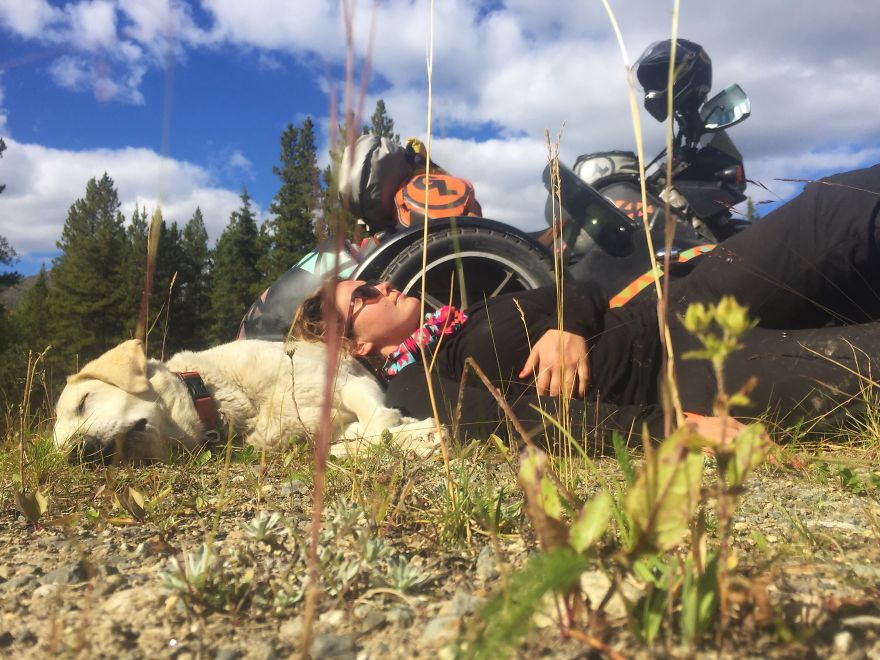 I Motorbiked 6,000 Miles To Alaska With My Dog And We're Still Going