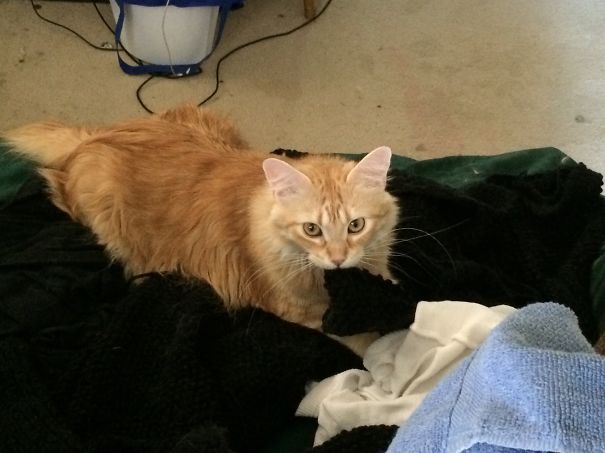 I'm Hungry; Your Sweater Will Do.