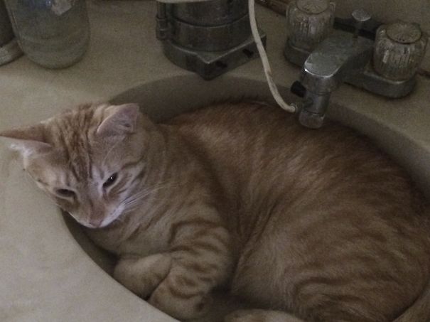 So What If You're Thirsty?