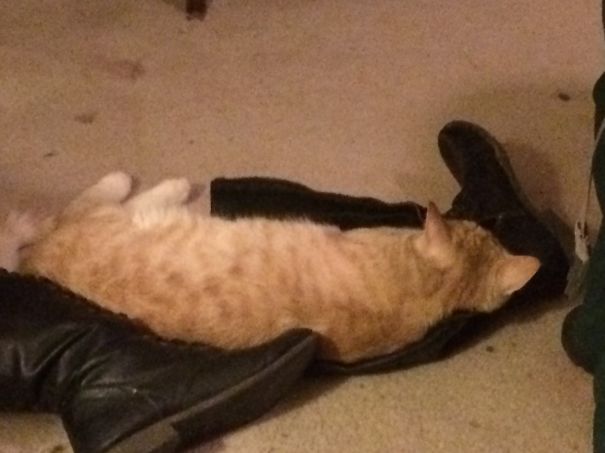 I Think Your Boots Need To Be Fur Lined.