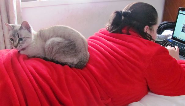 Well, Don't You Look Comfy!