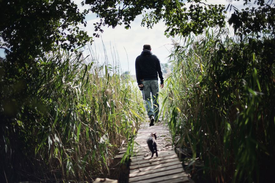 A Summer With A Cat: Why You Shouldn't Leave Your Cat At Home During Vacation A Summer With A Cat: Why You Shouldn't Leave Your Cat At Home During Vacation