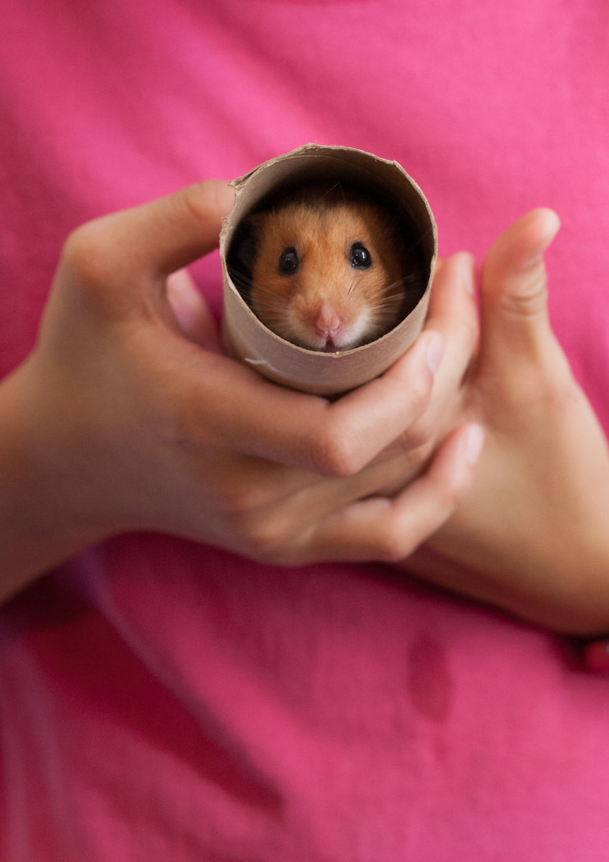 Is It Me You're Looking For?