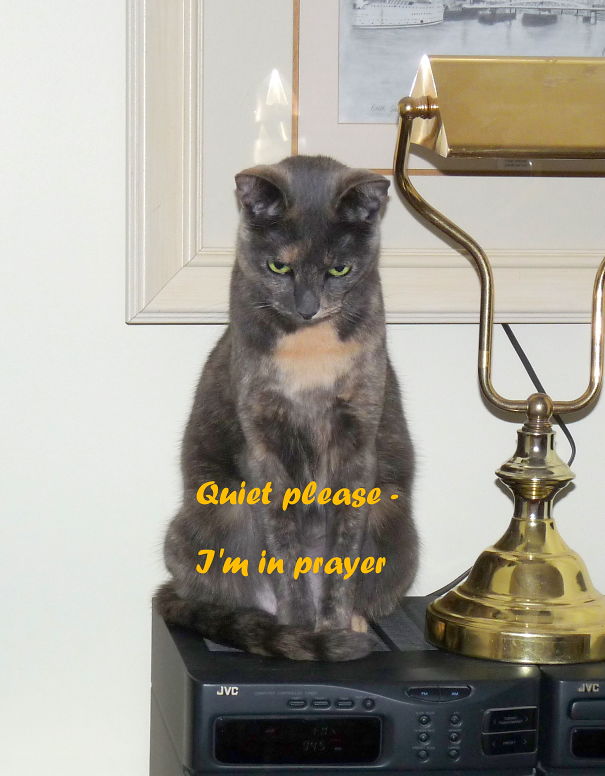 Time To Show Respect