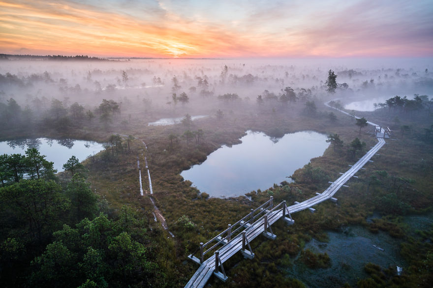 Magical Autumn Fog In Over 8000-Year-Old Kemeri Bog Magical Autumn Fog In Over 8000-Year-Old Kemeri Bog